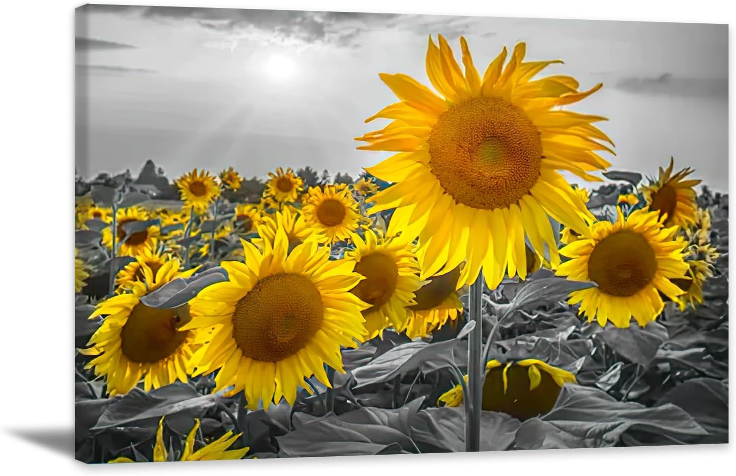 Arte de pared de girasol, pintura de flores, obra de arte de granja, arte de pared negro y amarillo, póster de flores amarillas, impresión de