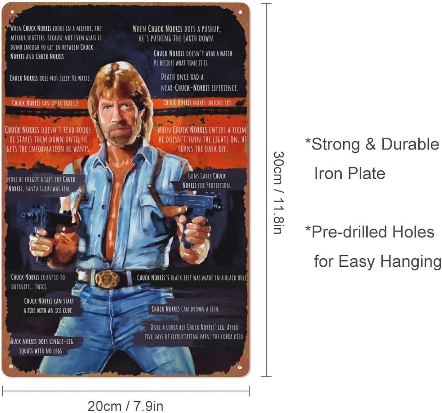 Chuck Norris Memes – Pósteres de lata retro de metal para bar, pub, cafeterías, decoración de pared, 8 x 12 pulgadas (7.9 x 11.8 in)