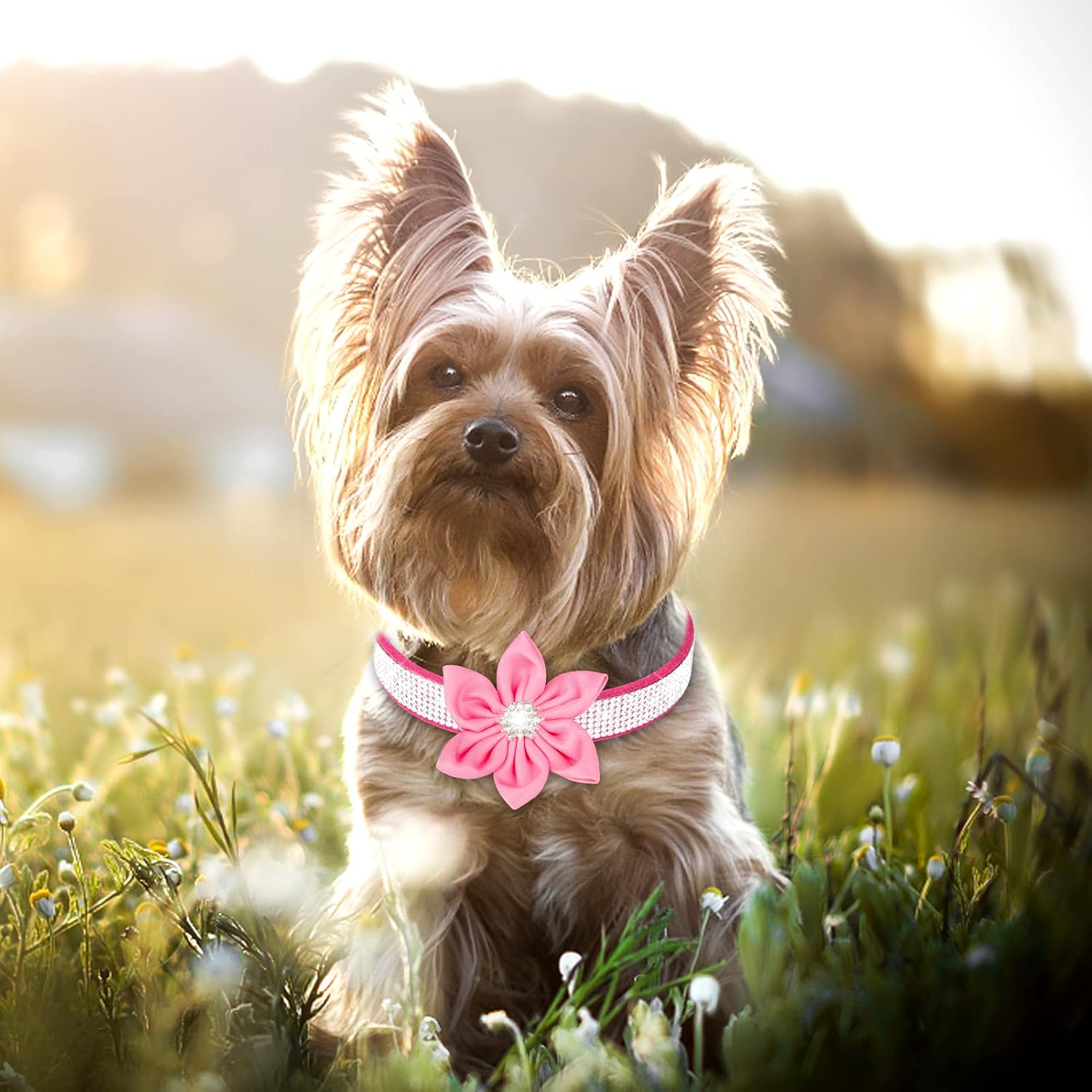YTFU Bling – Collares de perro para perros grandes, collar de perro con diamantes de imitación para niñas, collar de perro elegante y deslumbrante