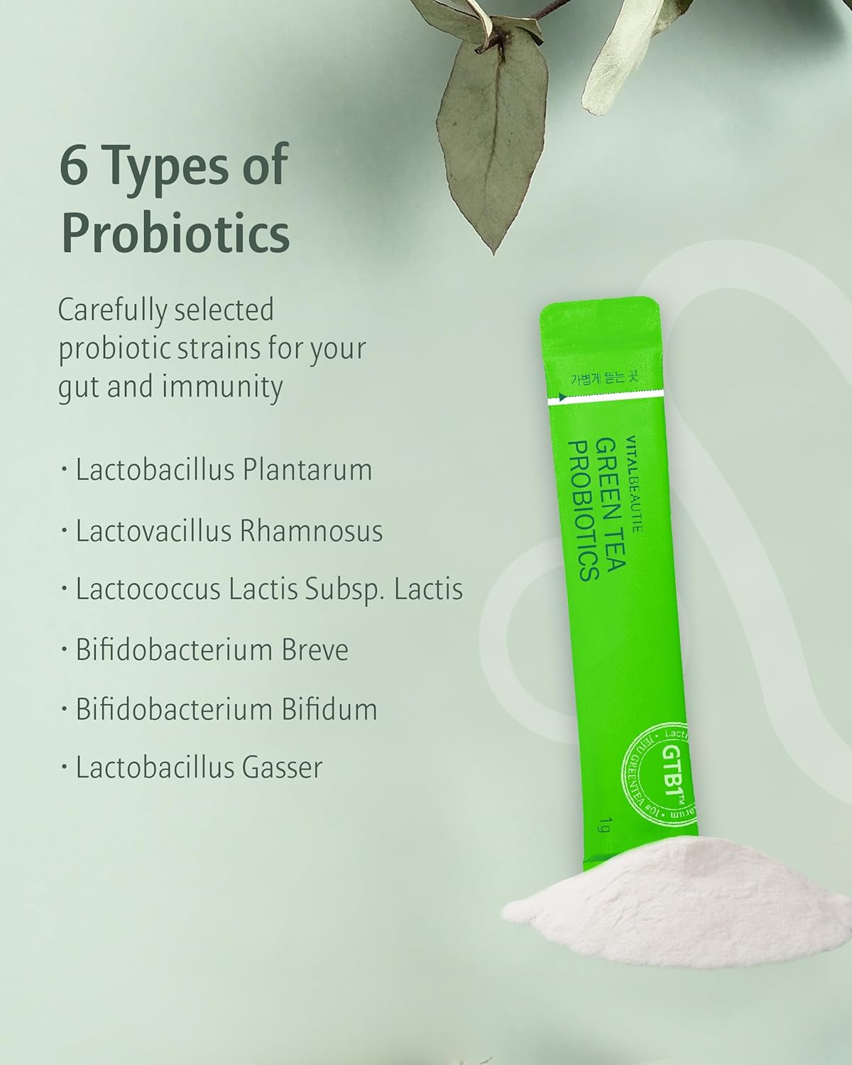 Probióticos de té verde (renovados, 60 barritos) – Probióticos de origen vegetal para la salud intestinal por AMOREPACIFIC. Vitamina D, probióticos