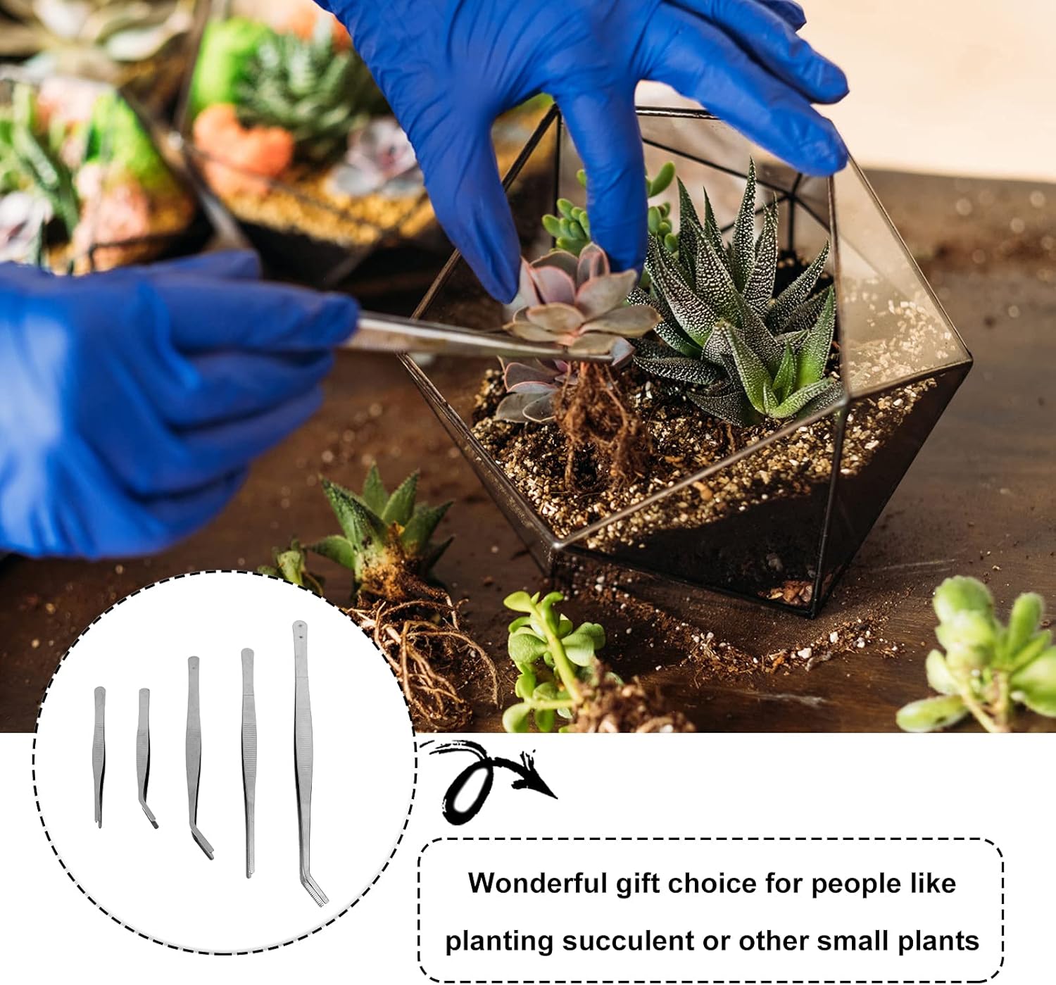 FOMIYES Juego de herramientas de bonsái de 5 piezas de pinzas de jardinería, kit de biselado, mini plantas suculentas, sellos, herramientas de