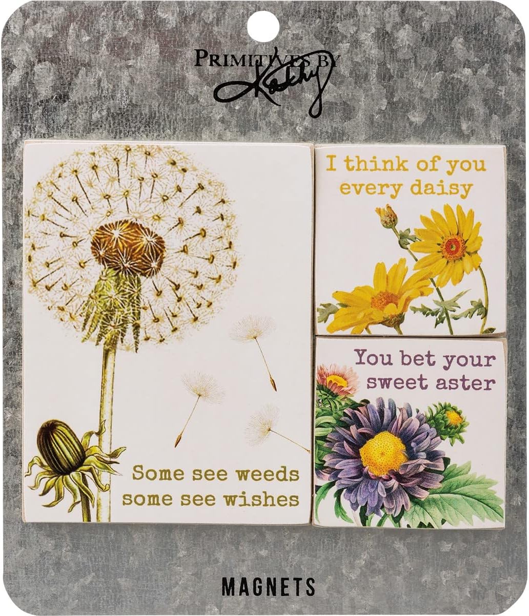 Primitives by Kathy Some See Weeds Some See Wishes, I Think of You Every Daisy, You Bet Your Sweet Aster – Juego de imanes decorativos