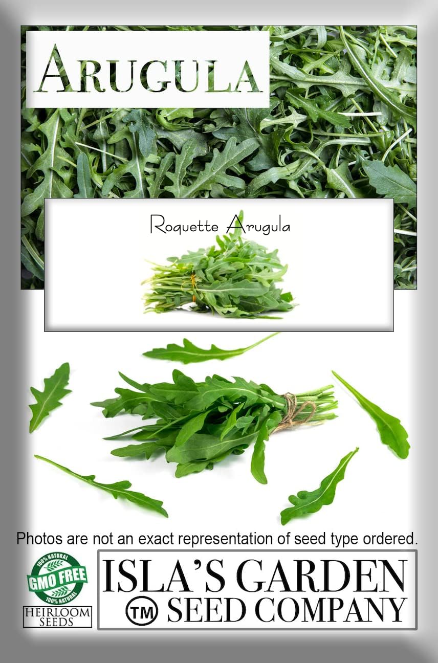 Semillas “Roquette Rúcula” para plantar, más de 1000 semillas tradicionales por paquete, semillas sin OMG, (semillas de jardín de Isla), nombre