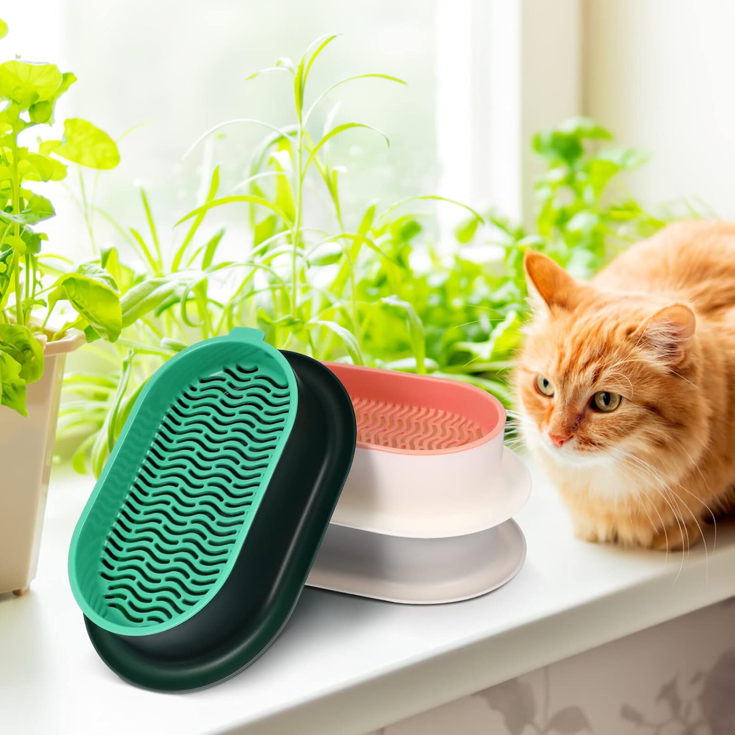 Veemoon Juego de 3 macetas de hierba para gatos, kit de cultivo hidropónico de hierba para gatos, bandeja con agujeros de drenaje, limpia, sin