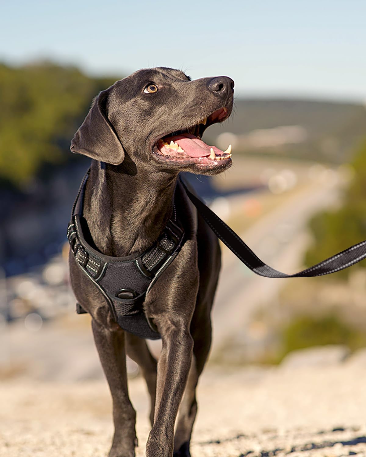 Joytale Arnés para perro sin tirones de tamaño mediano, chaleco reflectante para mascotas con clip frontal, arnés acolchado suave ajustable con asa