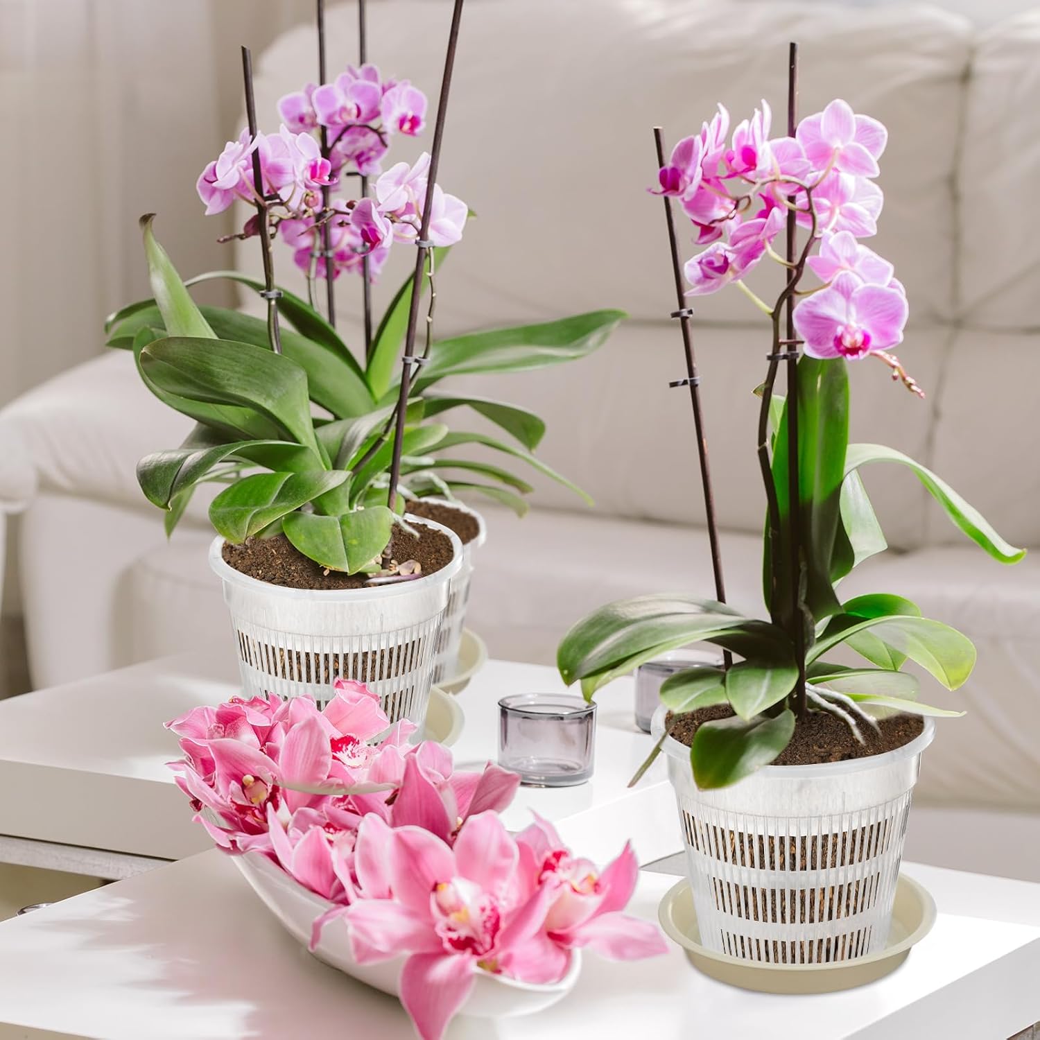 Macetas de orquídeas de 4.55.567.5 pulgadas con agujeros y platillos, macetas de plástico transparente para jardín, trasplante de orquídeas, macetas