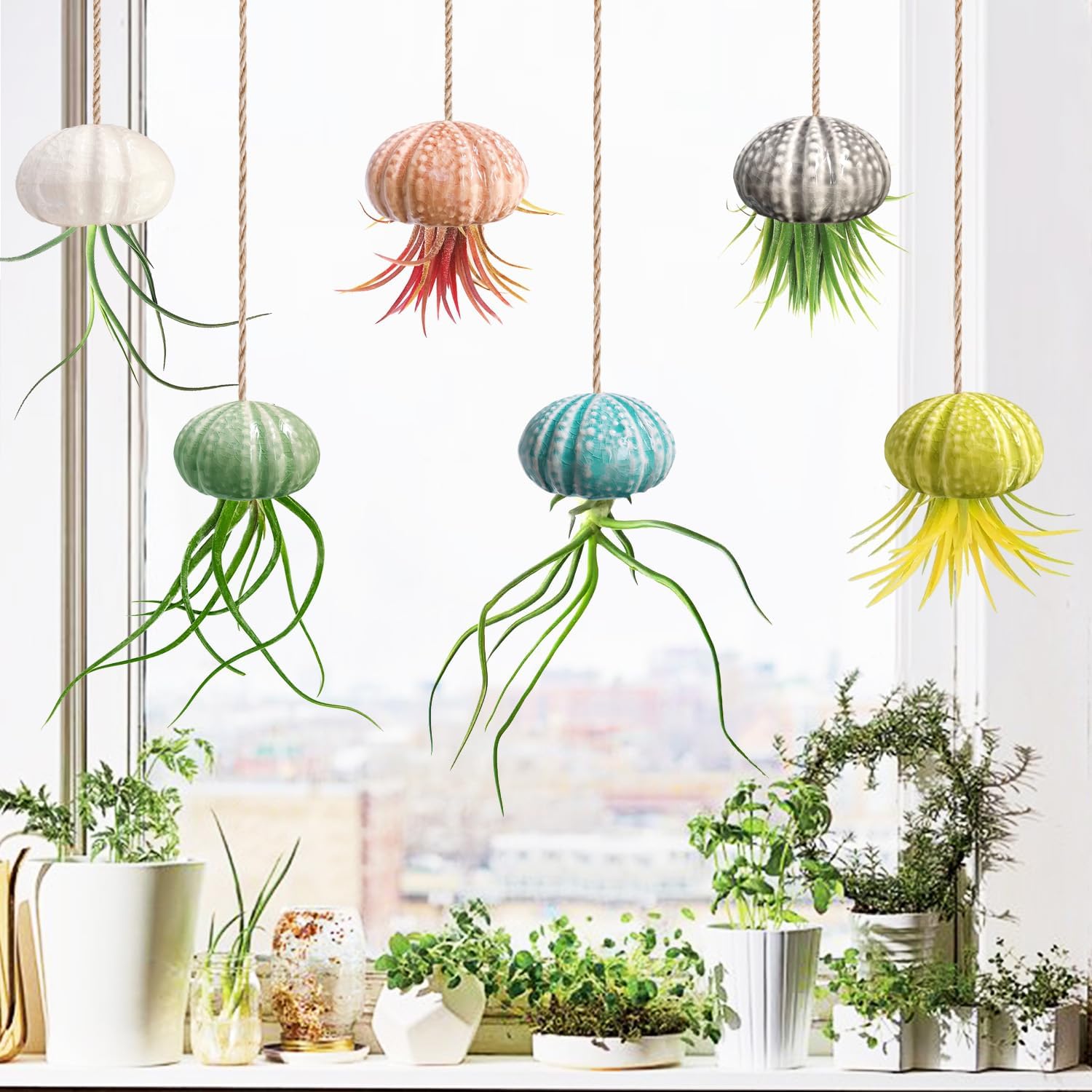 KLS Paquete de 3 soportes colgantes únicos para plantas de aire, de cerámica, para erizo de mar, colgador de plantas de aire para plantas de aire