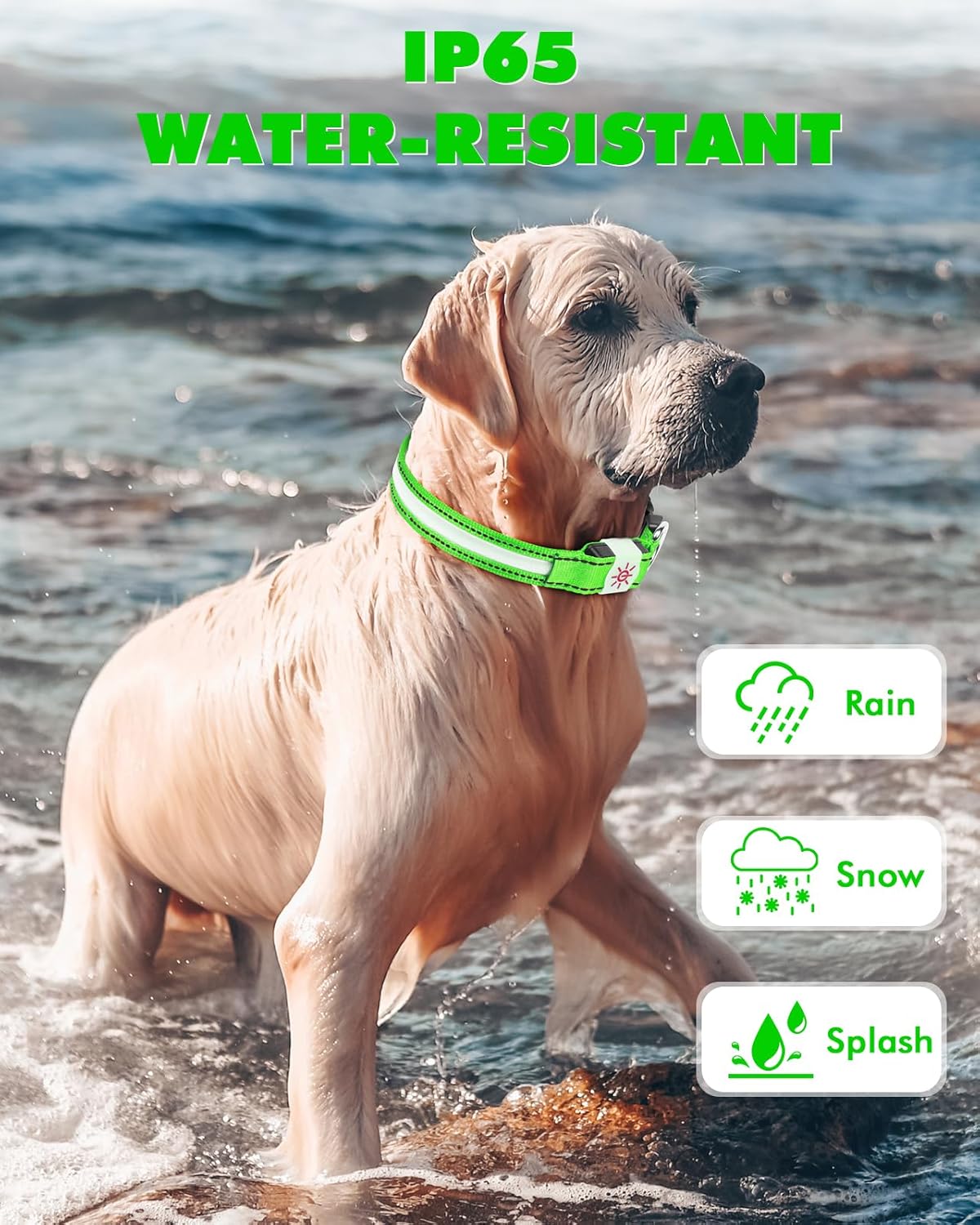 Petbank Collar de perro con luz LED, 7 colores RGB y 5 modos de luz, ajustable recargable por USB, collares de perro que brillan en la oscuridad,