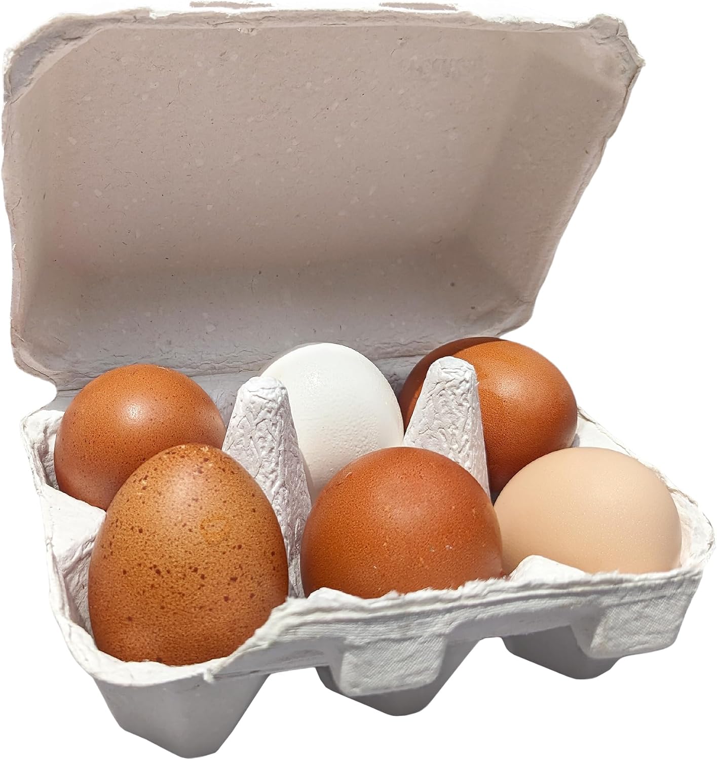 Henlay Cajas blancas de media docena de huevos – Paquete de seis tapas planas en blanco (20)
