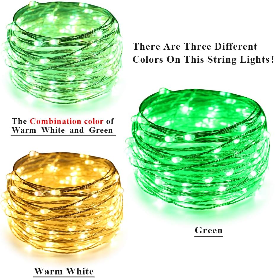 ErChen – Guirnalda de luces LED USB de doble color, 33 pies, 100 luces LED que cambian de color, regulables, 8 modos, alambre de cobre plateado,