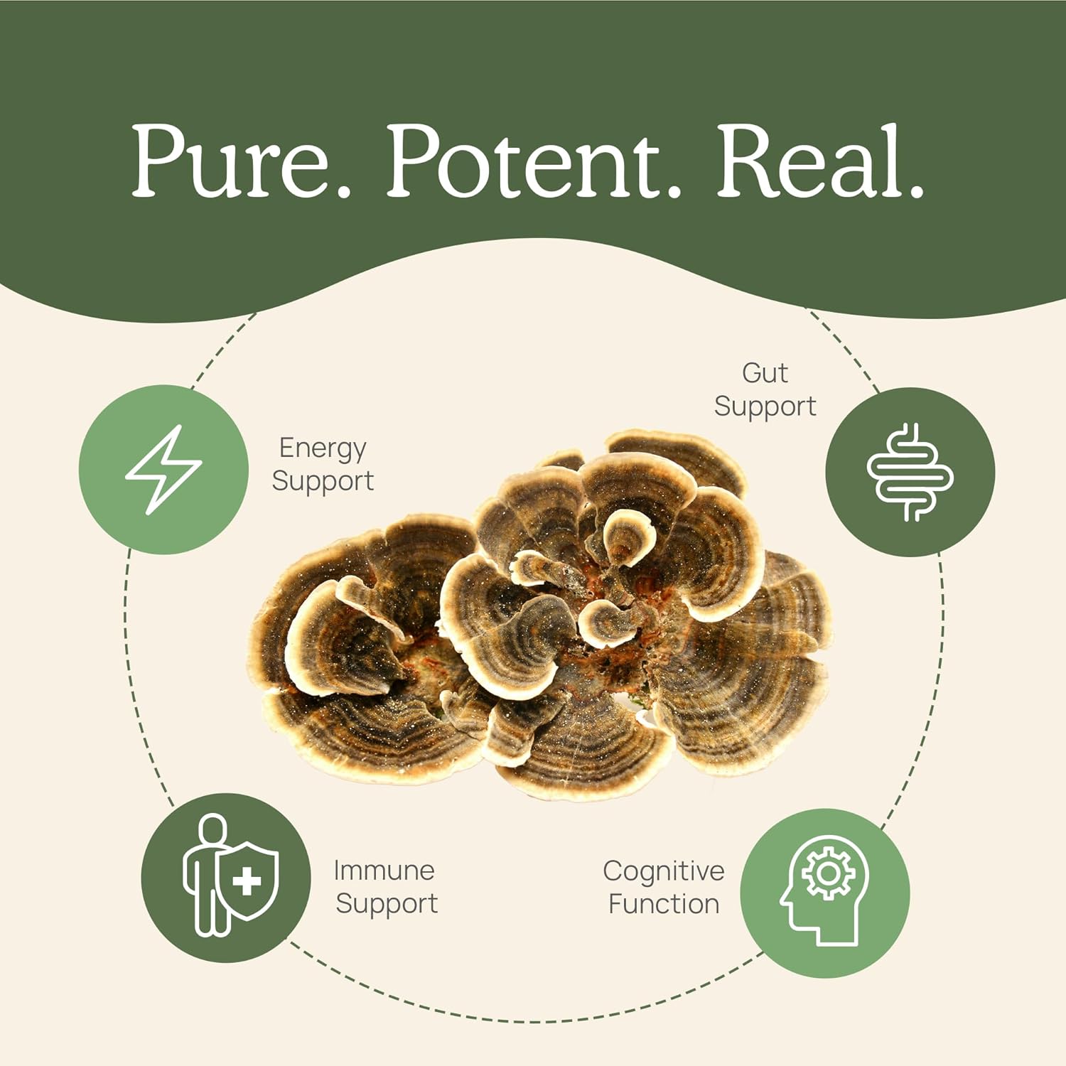 Real Mushrooms Paquete de vitamina D2, zinc, chaga, reishi (120 unidades) y cola de pavo (90 unidades)  Suplemento natural de fuerza inmunológica