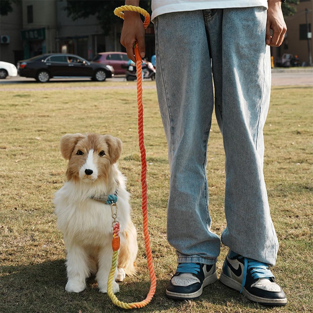 Correa de perro de 5 pies hecha a mano de cuerda de algodón trenzada para perros pequeños, medianos y grandes, arcoíris colorido