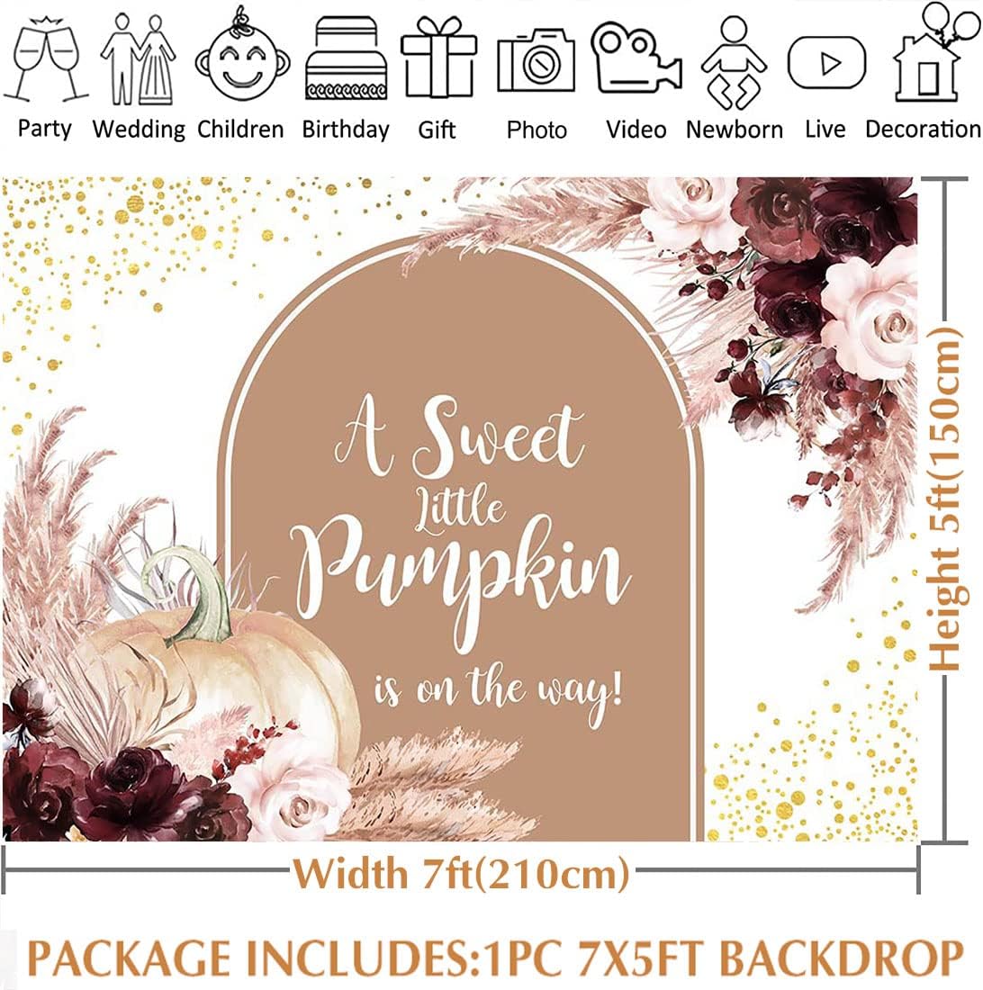Avezano Fondo de calabaza otoñal para baby shower, decoración de fiesta de baby shower, pancarta de calabaza pequeña está en camino, fondo de sesión