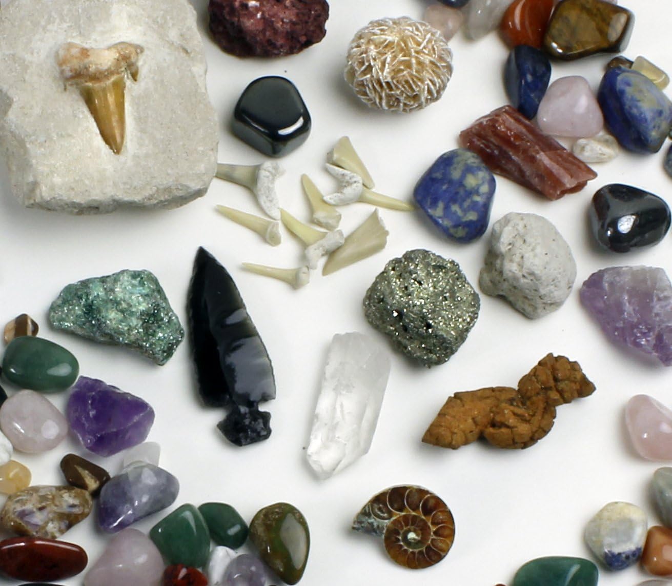 Roca, minerales y fósiles, colección kit de actividades con hojas educativas, amonita, diente de tiburón en matriz, fosilizados, 2geodas y flechas,