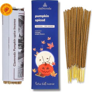 Varillas de incienso de especias de calabaza de invierno (80 Insenses) sin carbón, hechas de flores recicladas Varillas de incienso de otoño con Varillas de incienso de especias de calabaza de invierno (80 Insenses) sin carbón, hechas de flores recicladas Varillas de incienso de otoño con