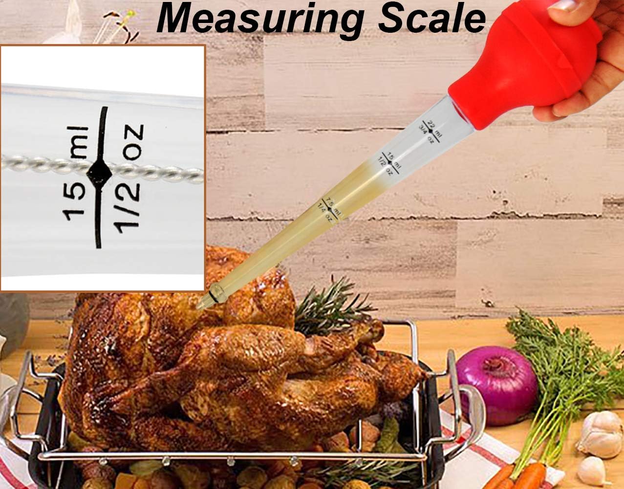 HOME-X Baster de silicona para alimentos con aguja intercambiable y cepillo para salsa, cepillo de limpieza incluido, 11 pulgadas de largo x 3