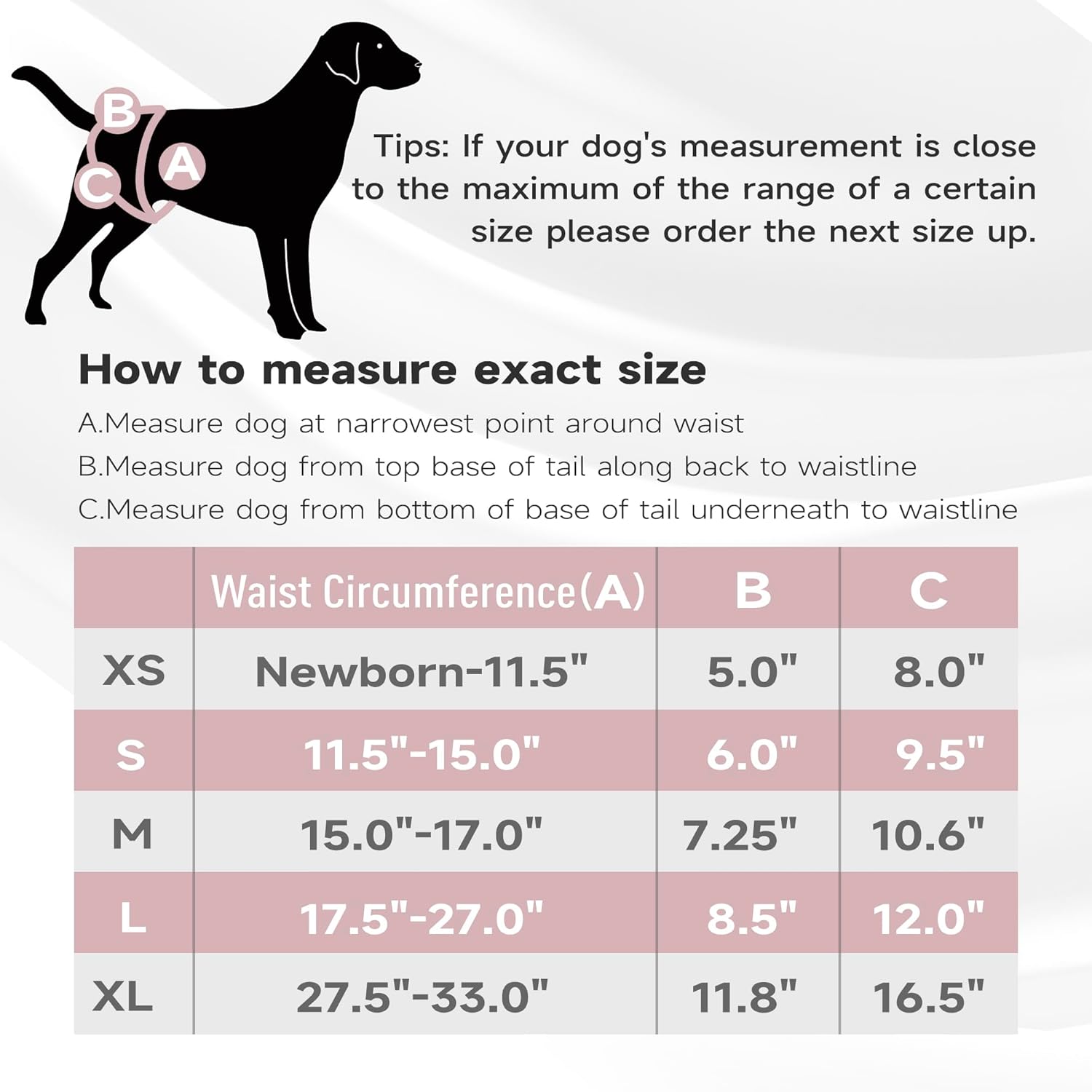 Paw Legend – Pañales reutilizables para perro hembra, 3 unidades