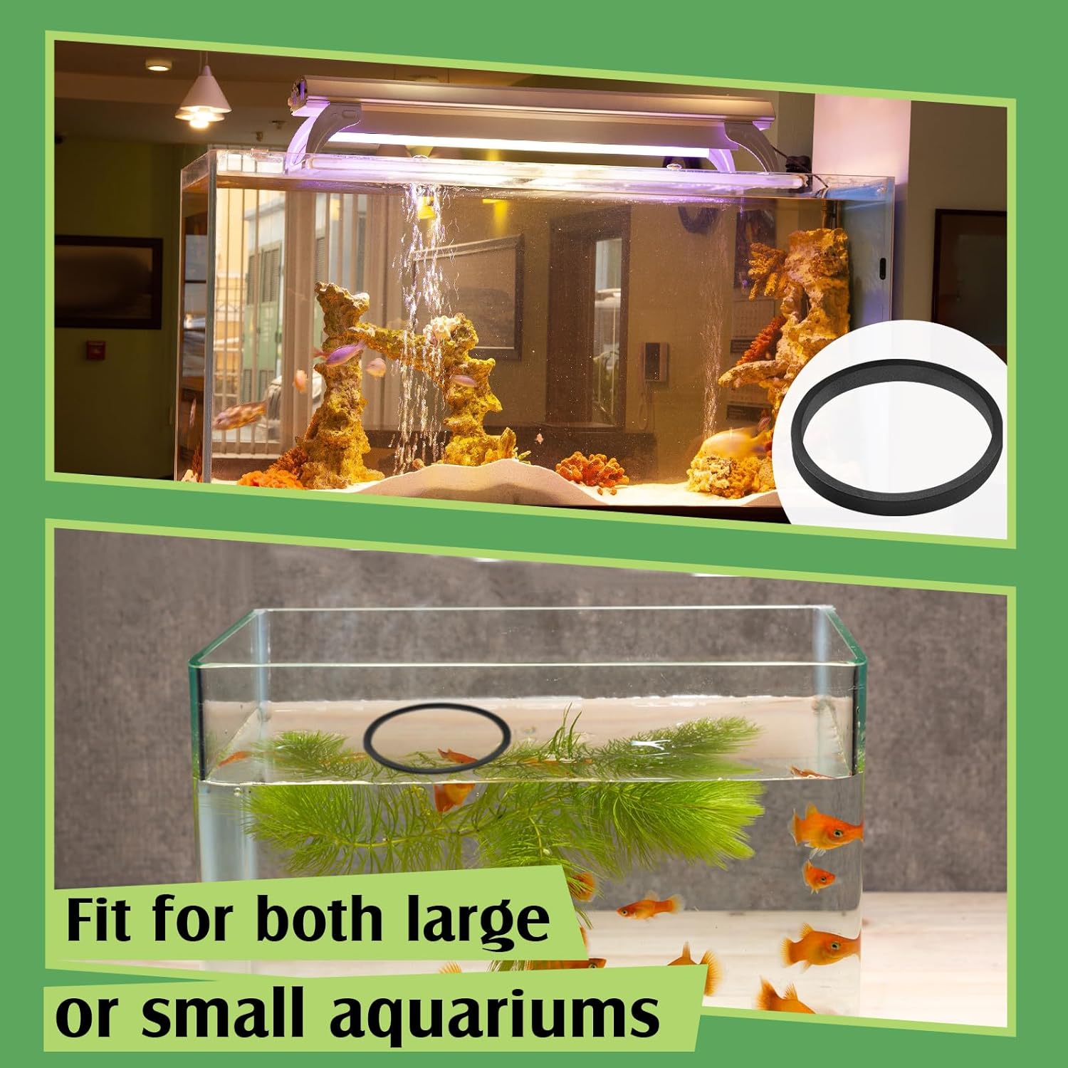Pangda 10 anillos flotantes para acuario, anillo de alimentación de peces, corral de plantas flotantes para mantener las plantas de alimentos en su