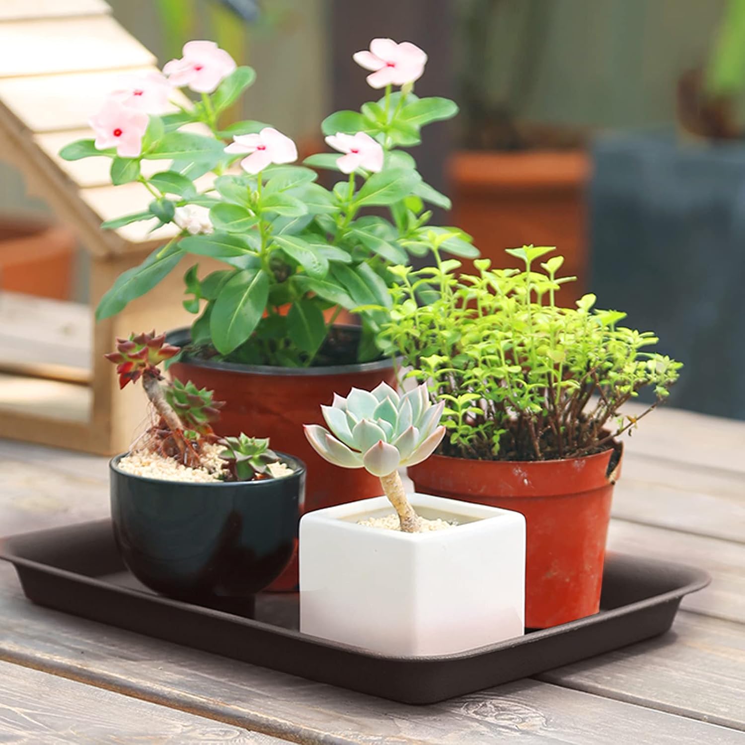 20 bandejas de plástico para humedadgoteo, bandeja de maceta de 7.3 x 4.7 x 1 pulgada, platillo rectangular para plantas de interior y exterior,