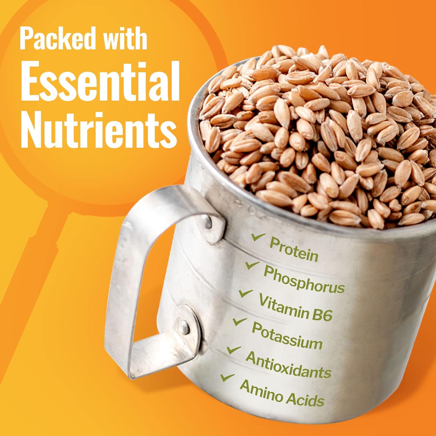 Grand Teton Ancient Grains – Bayas de espelta 100% orgánicas, bayas enteras de espelta sin moler, grano orgánico Farro cultivado en Estados Unidos,