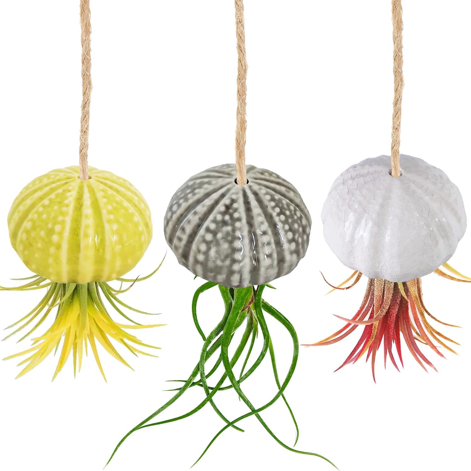 KLS Paquete de 3 soportes colgantes únicos para plantas de aire, de cerámica, para erizo de mar, colgador de plantas de aire para plantas de aire
