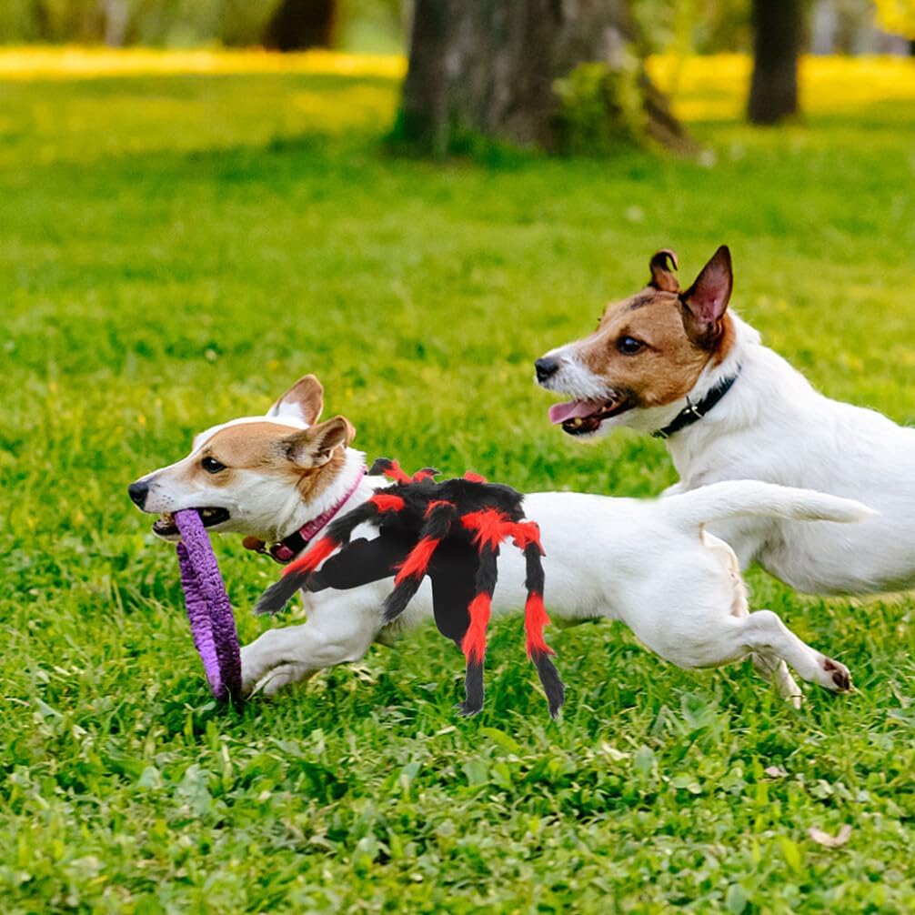 Ipetboom Disfraces de Halloween para mascotas, disfraz de araña, lindo perro, gato, araña, cosplay, disfraces divertidos, ropa para vacaciones,