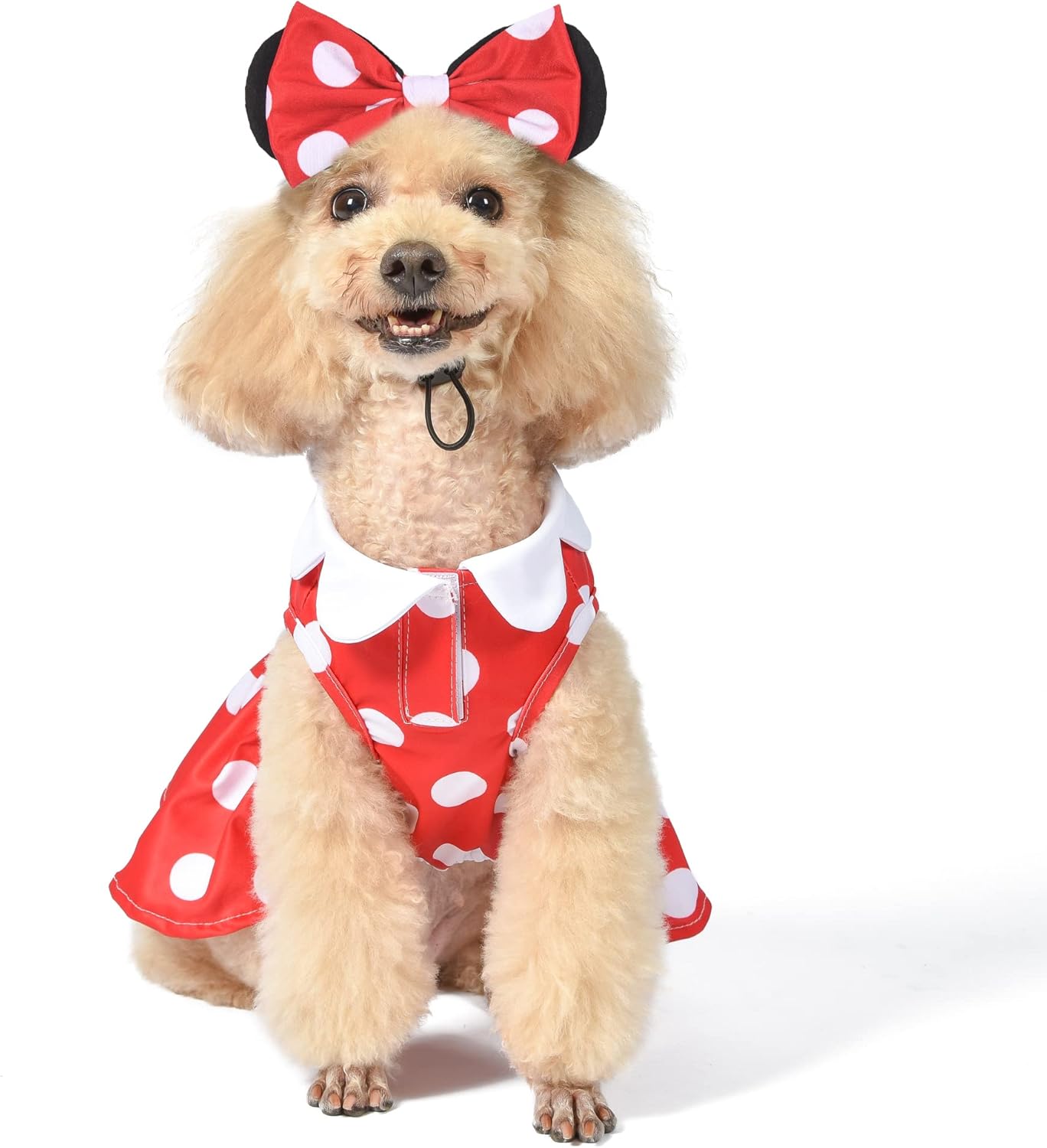 Disney for Pets Disfraz de Halloween de Minnie Mouse para perros, grande, disfraz de Halloween de Disney, divertidos disfraces de mascotas  Disfraz