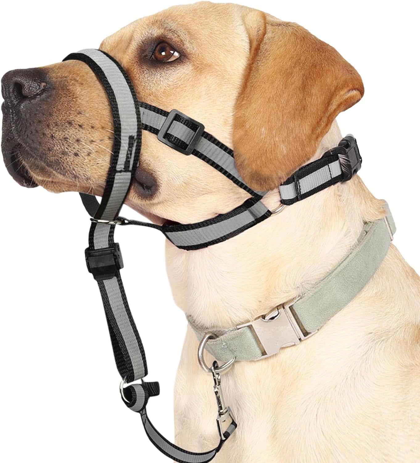 BARKLESS Collar reflectante para la cabeza, collar antitirones para perros medianos y grandes, correa de bozal antitirones para razas de tamaño