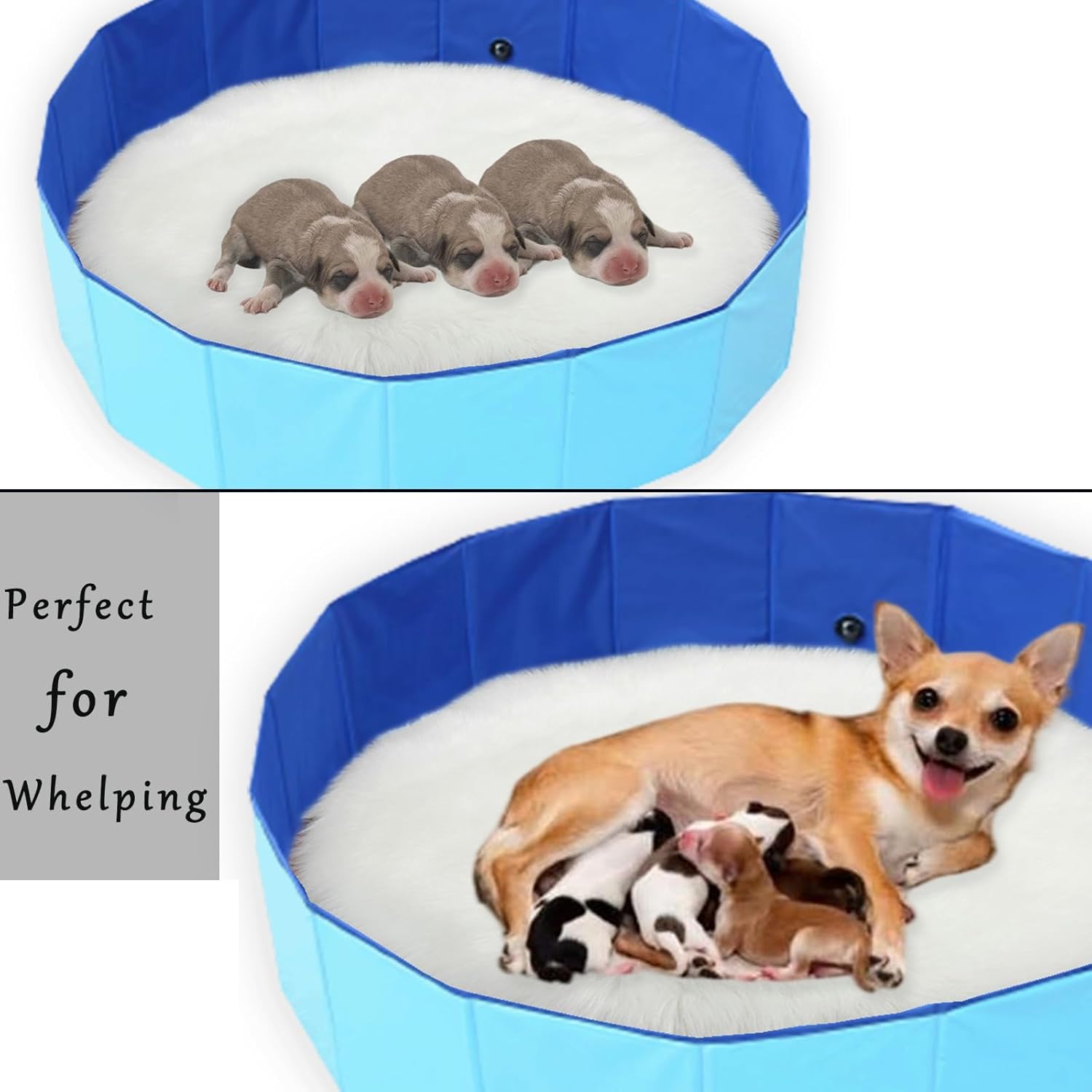 Piscina plegable para perros grandes, piscina portátil y plegable para mascotas, perros y gatos (L-32 x 8 pulgadas)