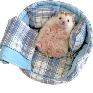 Hedgehog – Saco de cama para acurrucarse, manta cálida de forro polar, acogedora ropa de cama para dormir, cojín para animales pequeños, ardilla, Hedgehog – Saco de cama para acurrucarse, manta cálida de forro polar, acogedora ropa de cama para dormir, cojín para animales pequeños, ardilla,