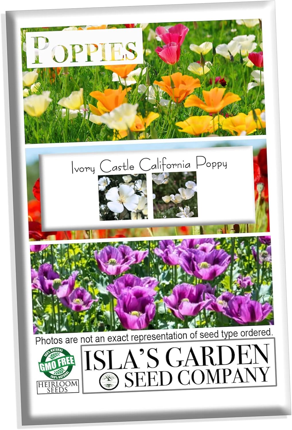 Semillas blancas de amapola de California para plantar “Ivory Castle”, más de 1000 semillas por paquete, semillas de jardín de Isla (semillas de