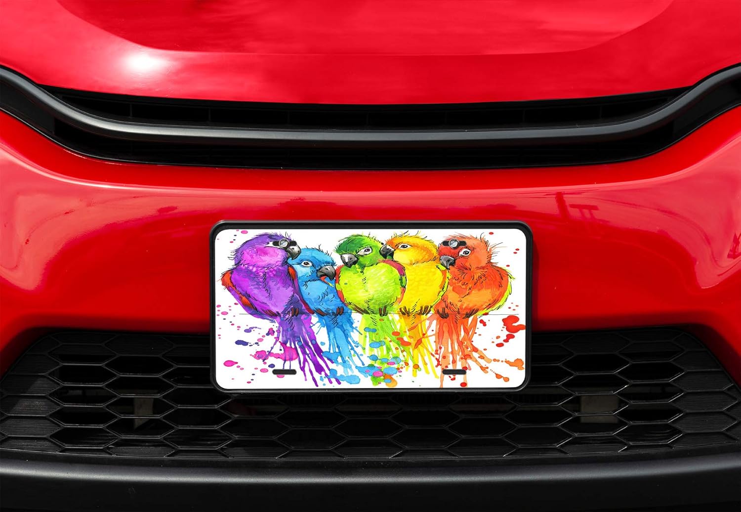 Placa de matrícula decorativa de naturaleza tropical con pájaros lindos, etiqueta de tocador, placa de metal para automóvil, placa de aluminio