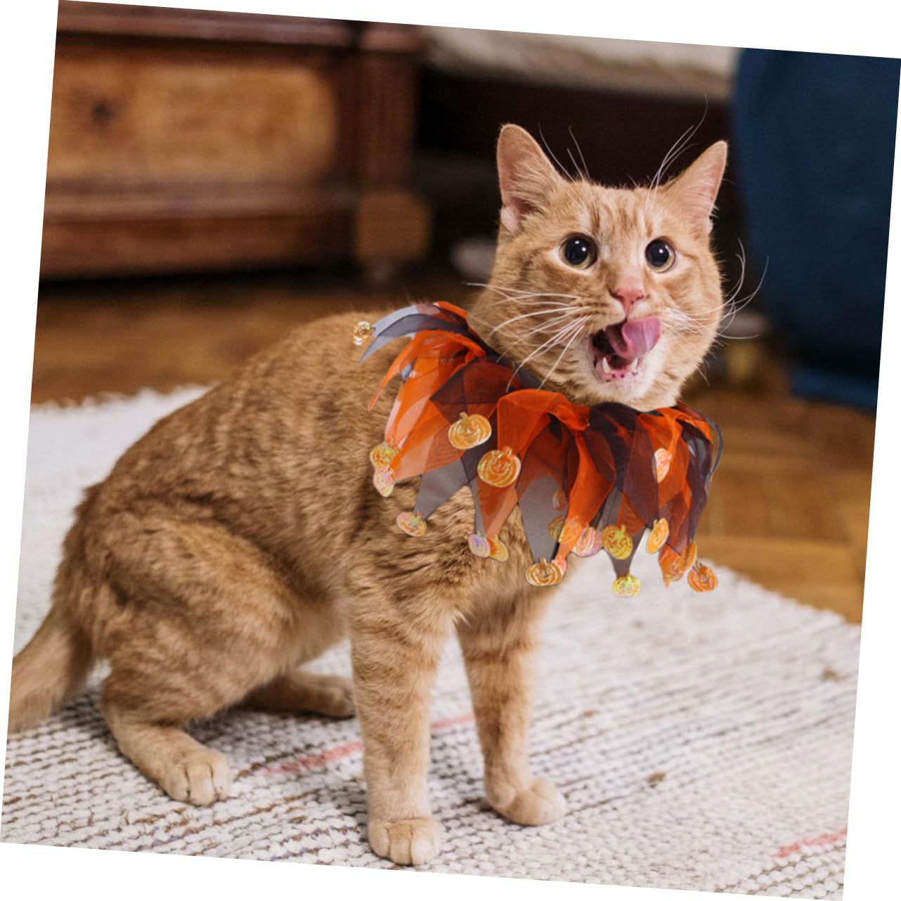 NOLITOY 1 juego de sombrero, bufanda, traje de perro pequeño, sombrero de mago para mascotas, disfraz de Halloween, gato, bufanda de perro, disfraz