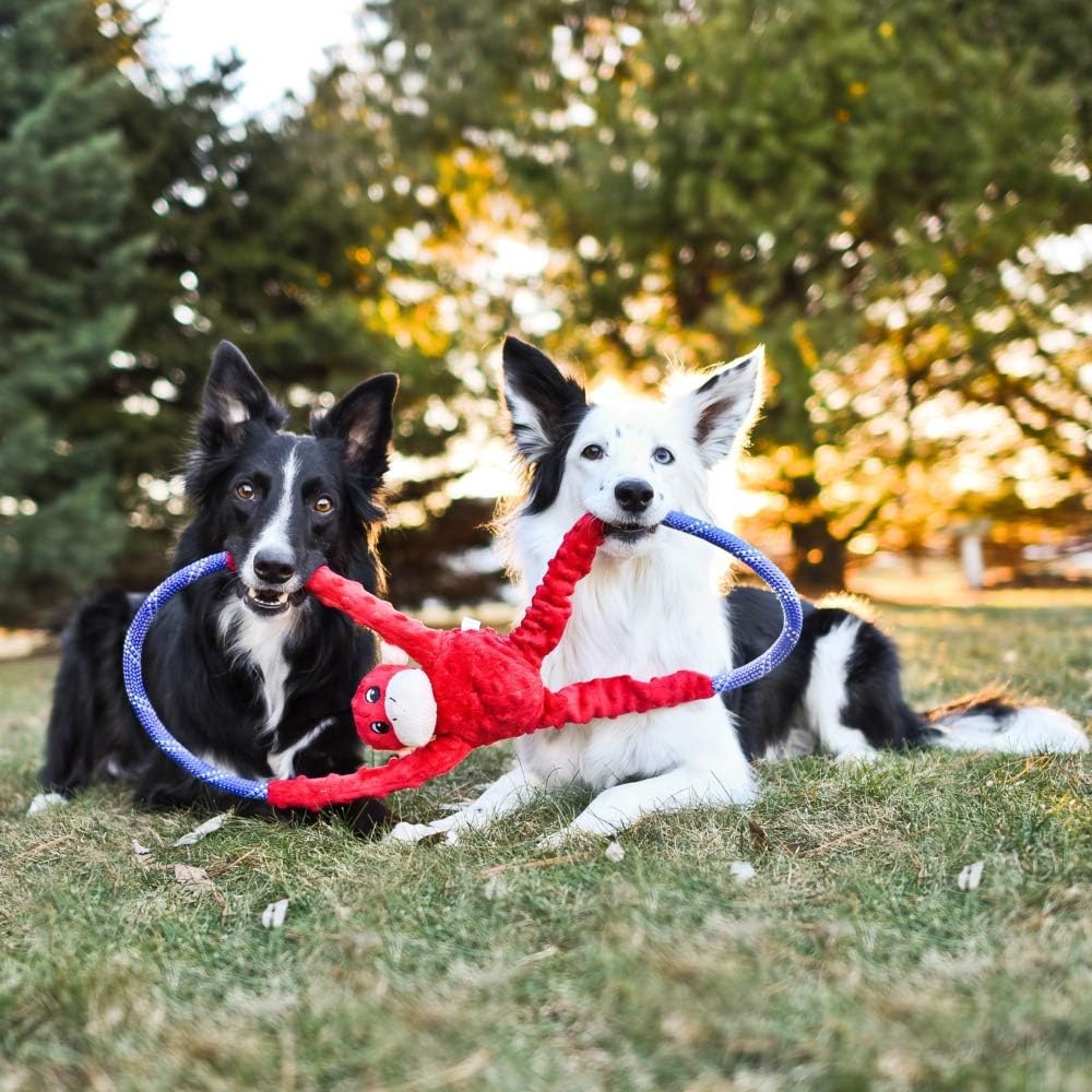 ZippyPaws – RopeTugz – Juguete para perro de mono rojo – Cuerda duradera, juguete masticable chirriante, perfecto para tirar y aflojar, adecuado