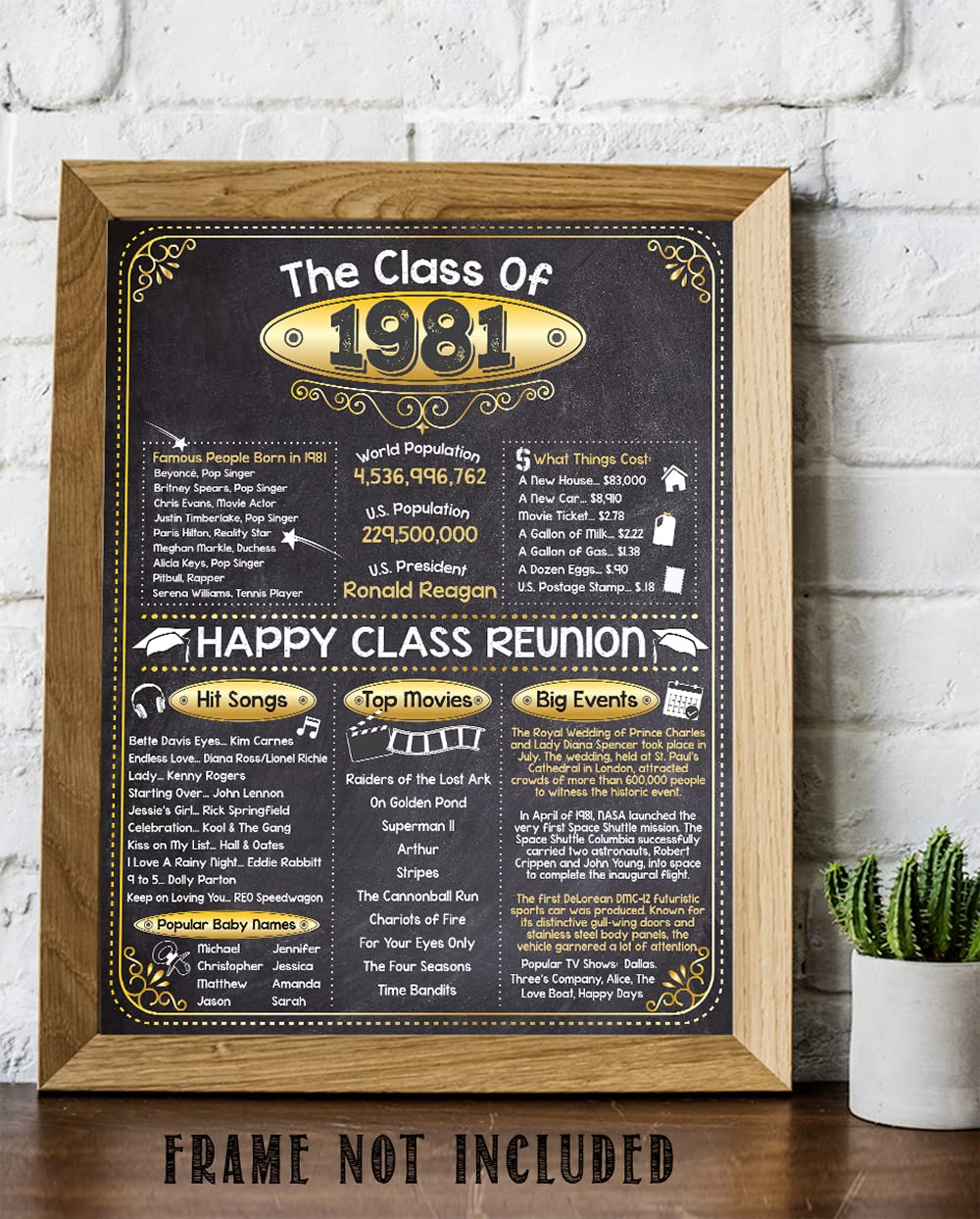 43rd High School Class Reunion (Forty-three) – Remembering The Year 1981 – Perfect Reunion Party Decoration – 11×14 Unframed Print