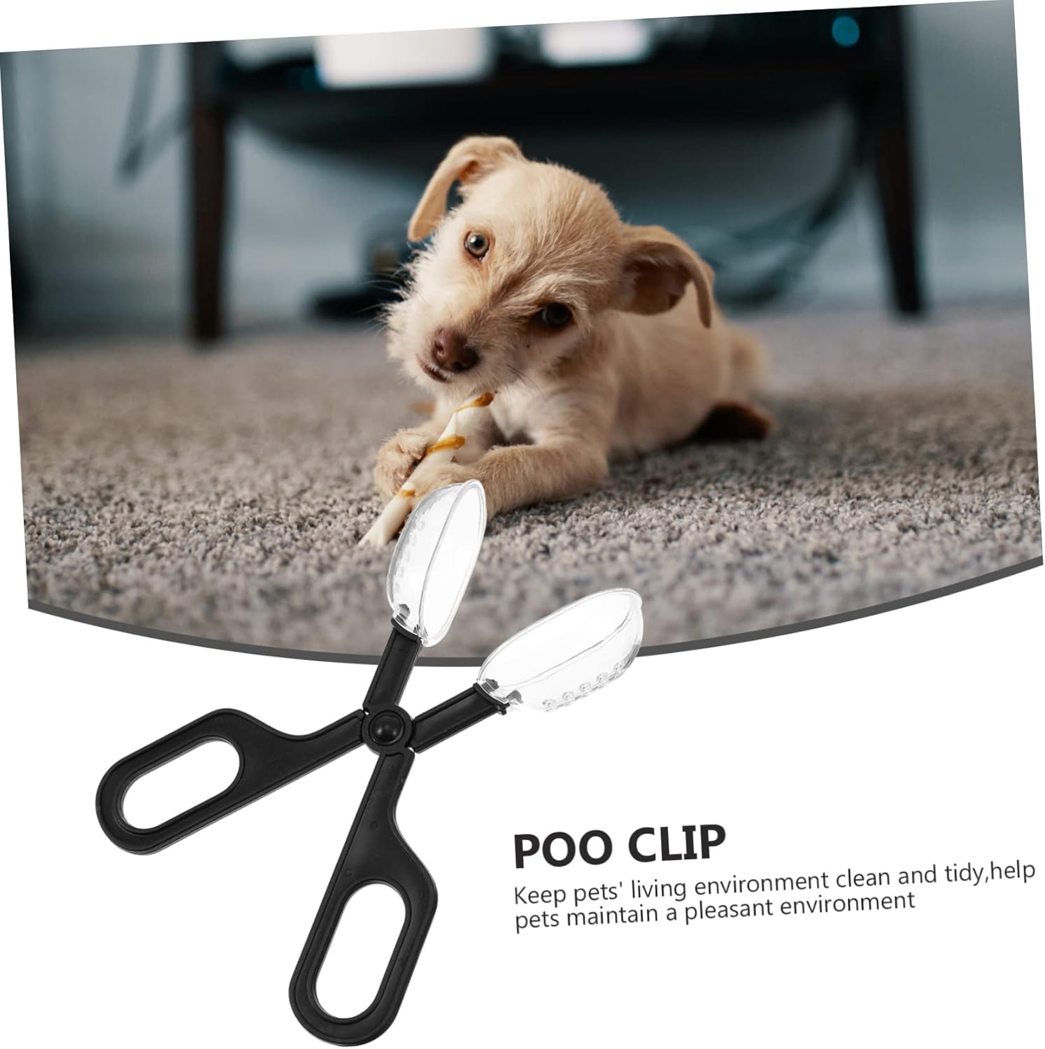 POPETPOP 4 piezas de hámster con clip para desechos de mascotas, para baño, cucharas de excremento de mascotas, eliminación de desechos de mascotas,