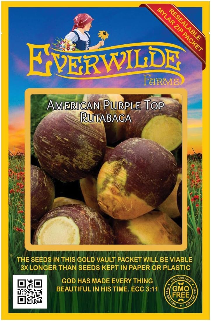 Everwilde Farms – 500 semillas de Rutabaga American Purple Top – Paquete de semillas jumbo Gold Vault