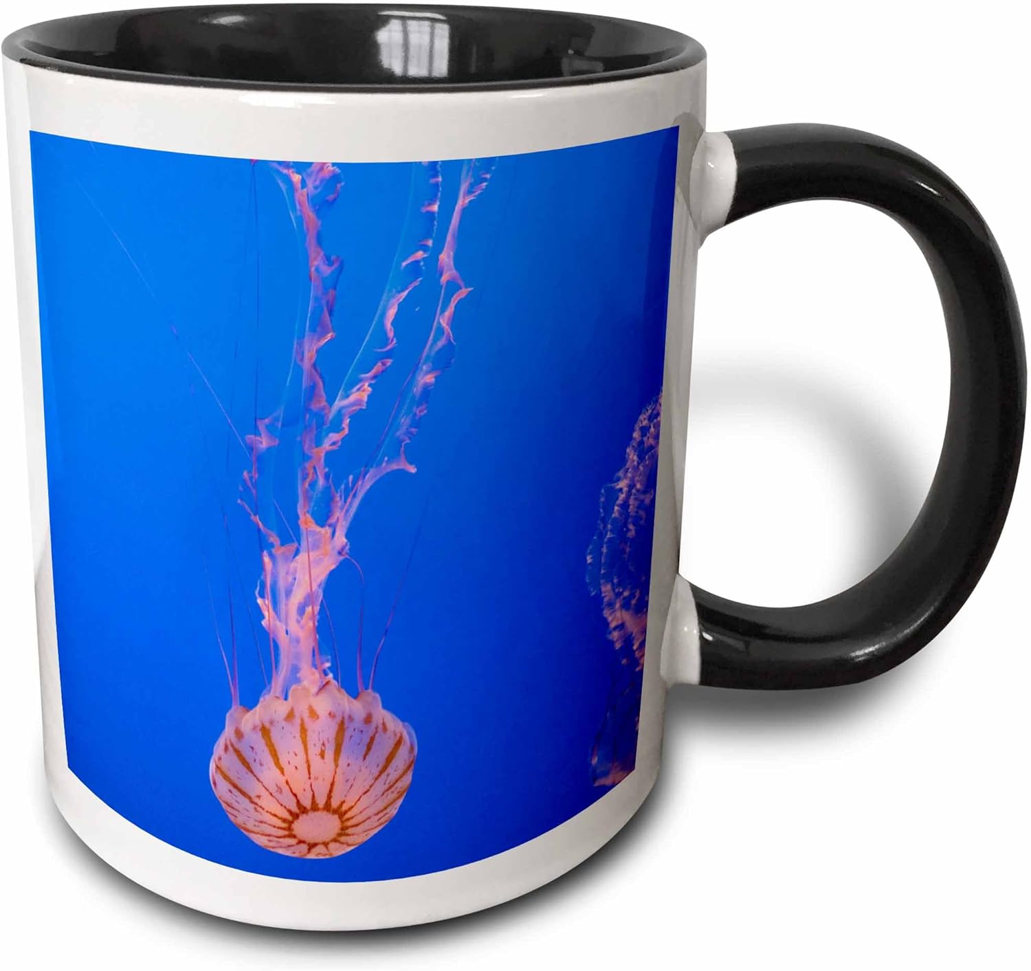 3dRose Taza de medusas, 11 oz, negroblanco