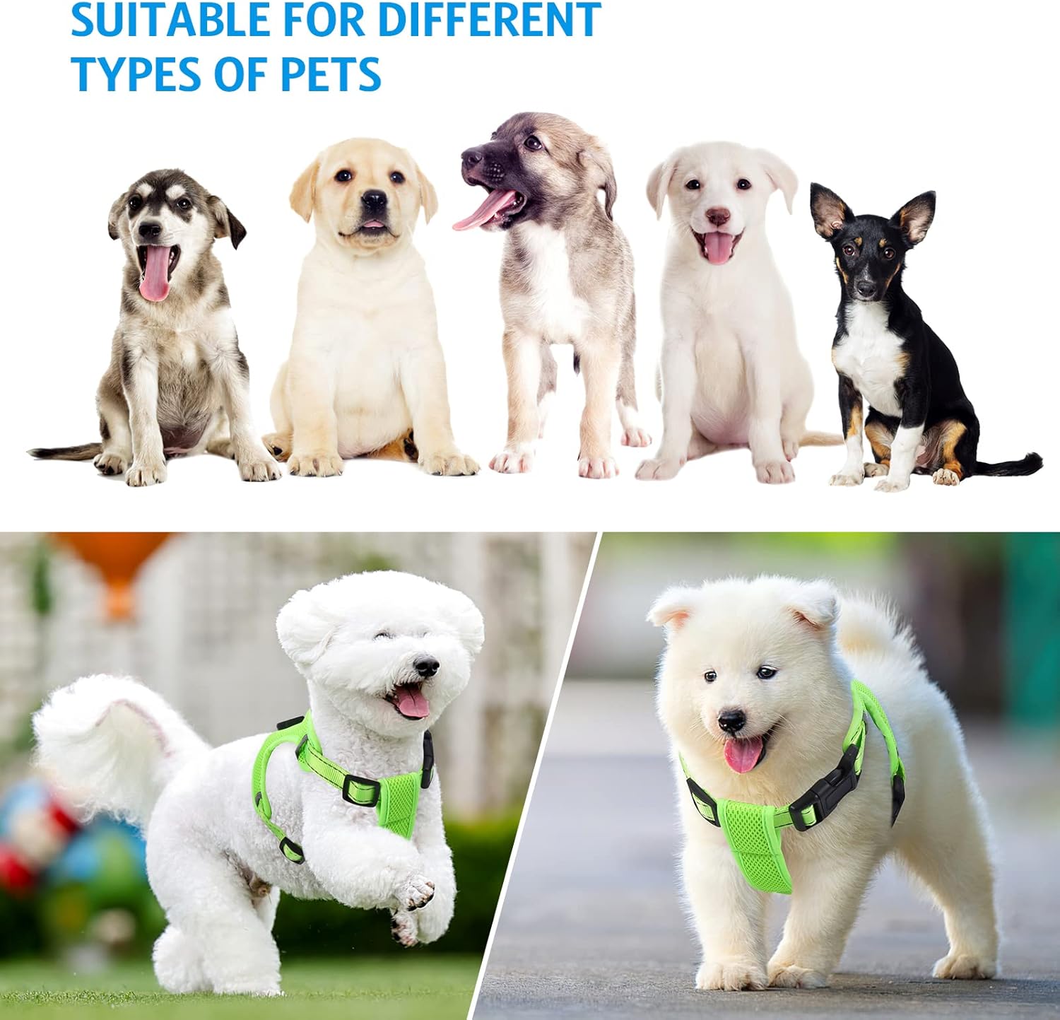 AMIR – Arnés LED para perro, pequeño, sin tirones, sin estrangulamiento, recargable por USB, 3 modos de iluminación, ajustable, transpirable, malla