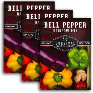 Survival Garden Seeds – Mezcla de semillas de pimiento arcoíris para plantar – 3 paquetes con instrucciones para plantar y cultivar deliciosos Survival Garden Seeds – Mezcla de semillas de pimiento arcoíris para plantar – 3 paquetes con instrucciones para plantar y cultivar deliciosos