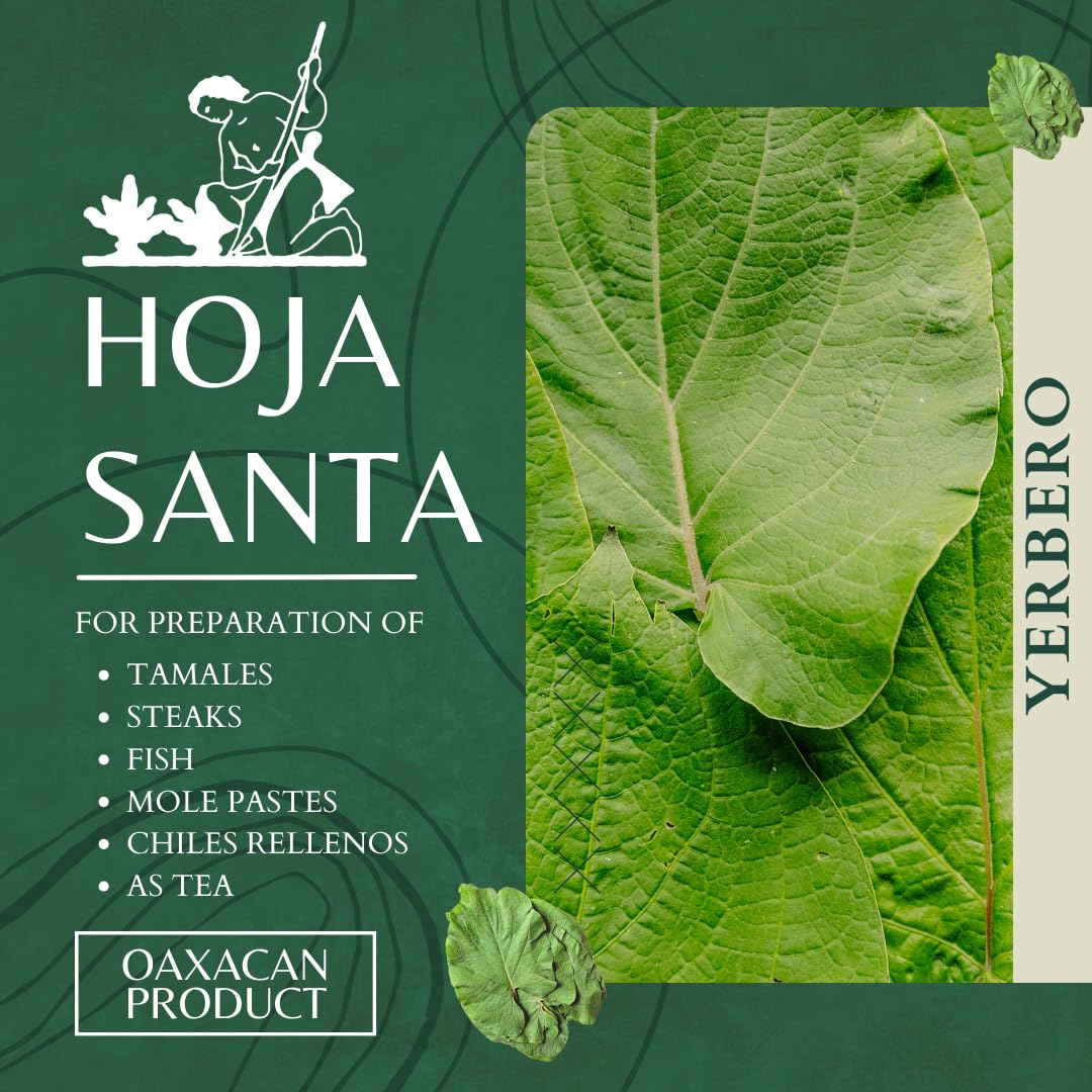 Yerbero – Hojas secas enteras de Santa Hierba 1.05 oz (30g) (25+ hojas por bolsa)  Hoja De Hierba Santa Entera  100% natural  Hoja de pimienta