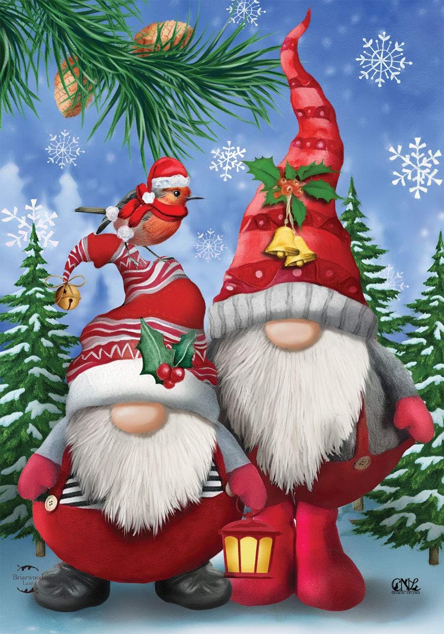 Sombrero de Papá Noel con diseño de gnomos de invierno, 28 x 40 Briarwood Lane