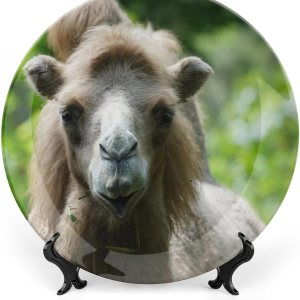 Placa decorativa de animales de camello, placa decorativa de cerámica para pared, plato decorativo con soporte, placa redonda de exhibición de Placa decorativa de animales de camello, placa decorativa de cerámica para pared, plato decorativo con soporte, placa redonda de exhibición de