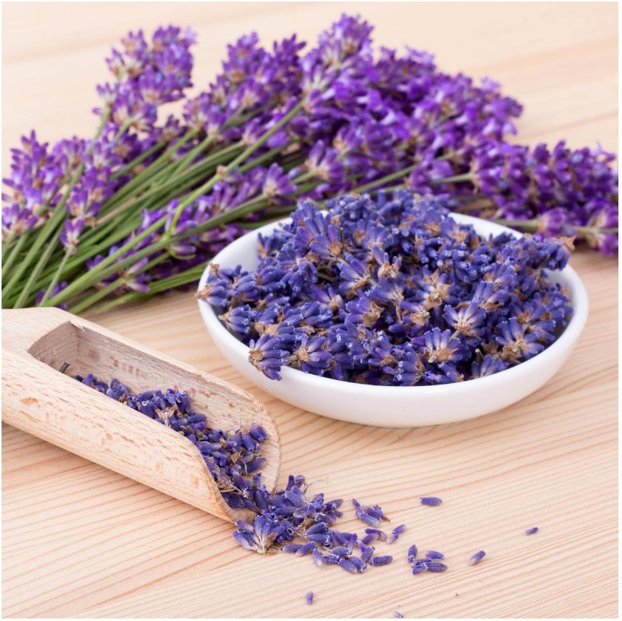 Everwilde Farms – 2000 semillas de hierbas de lavanda Vera – Paquete de semillas jumbo Gold Vault
