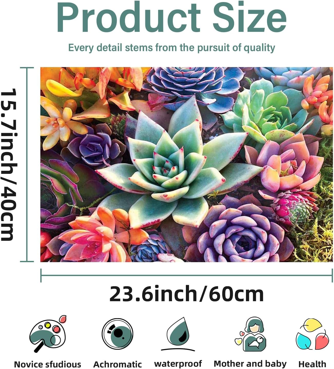 Aestalrcus Pintura por números grande para adultos, suculenta acrílica para adultos, kits de pintura por números sobre lienzo, 16 x 24 pulgadas,