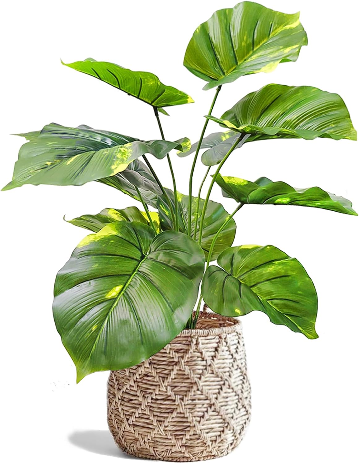 Árbol de Aureum Epipremnum artificial de 23 pulgadas de alto, árbol de imitación Reak Touch para decoración de interiores en el hogar, oficina,