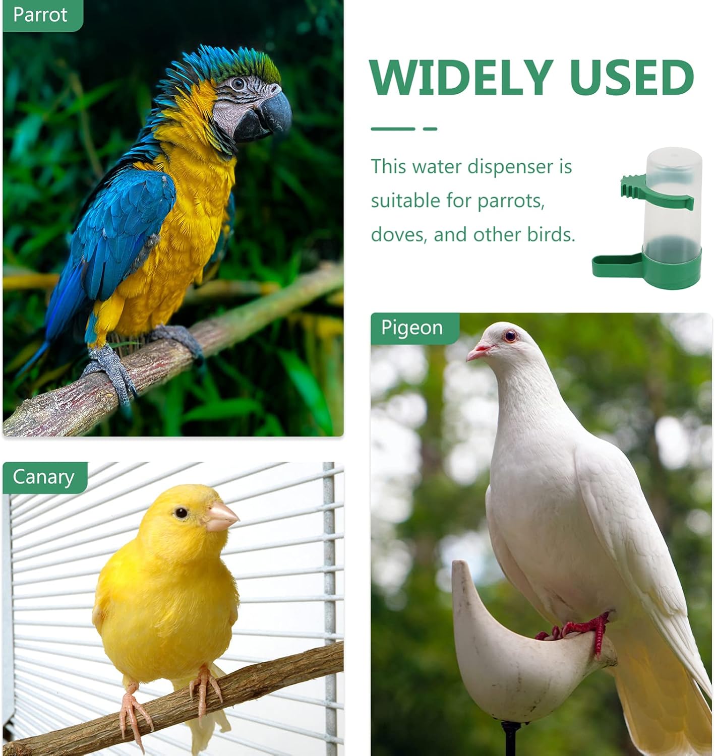 Alipis Dispensador de agua para pájaros y pájaros, taza de jaula para pájaros colgantes, alimentador automático de agua para pájaros, periquitos,