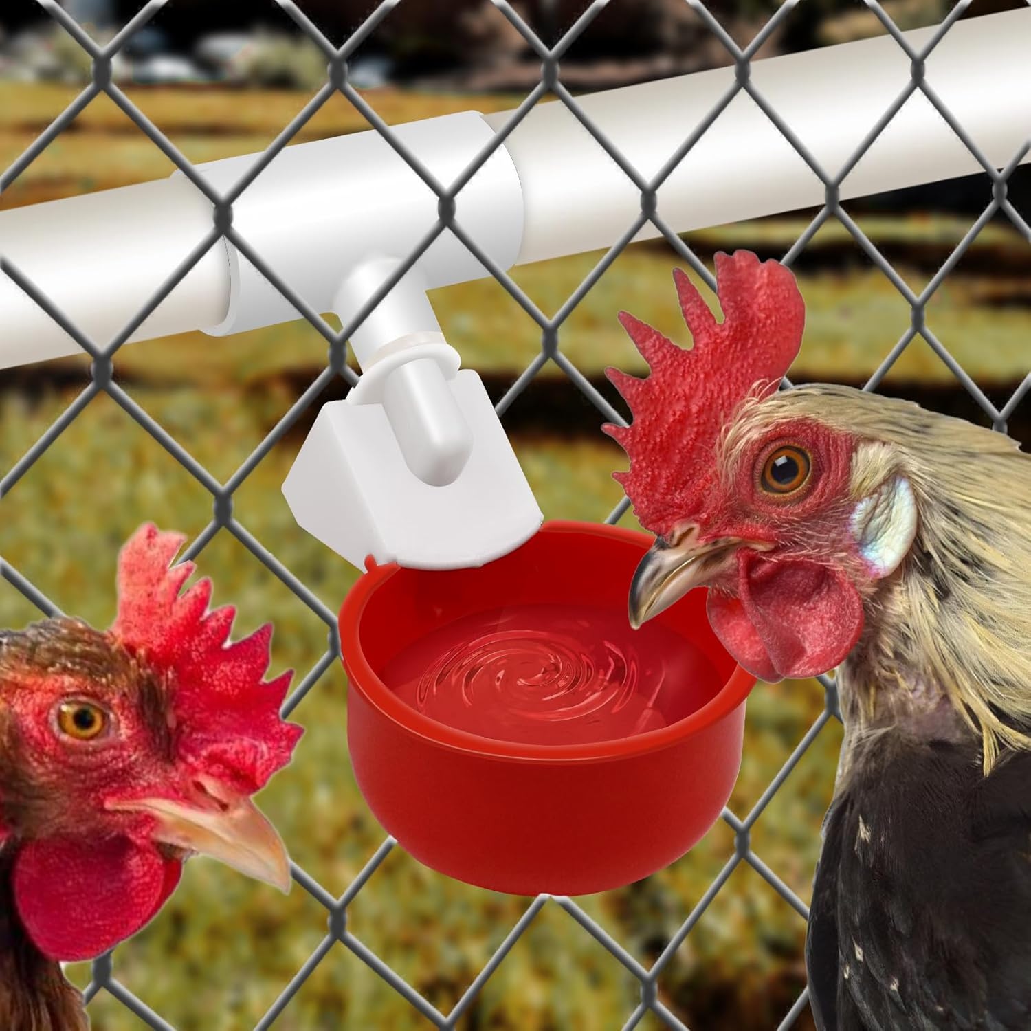 Vasos para bebederos de pollo, 4 paquetes  Tazas de riego para aves de corral con accesorios en T de 12 pulgada, tuerca, cinta de teflón  Sensor de
