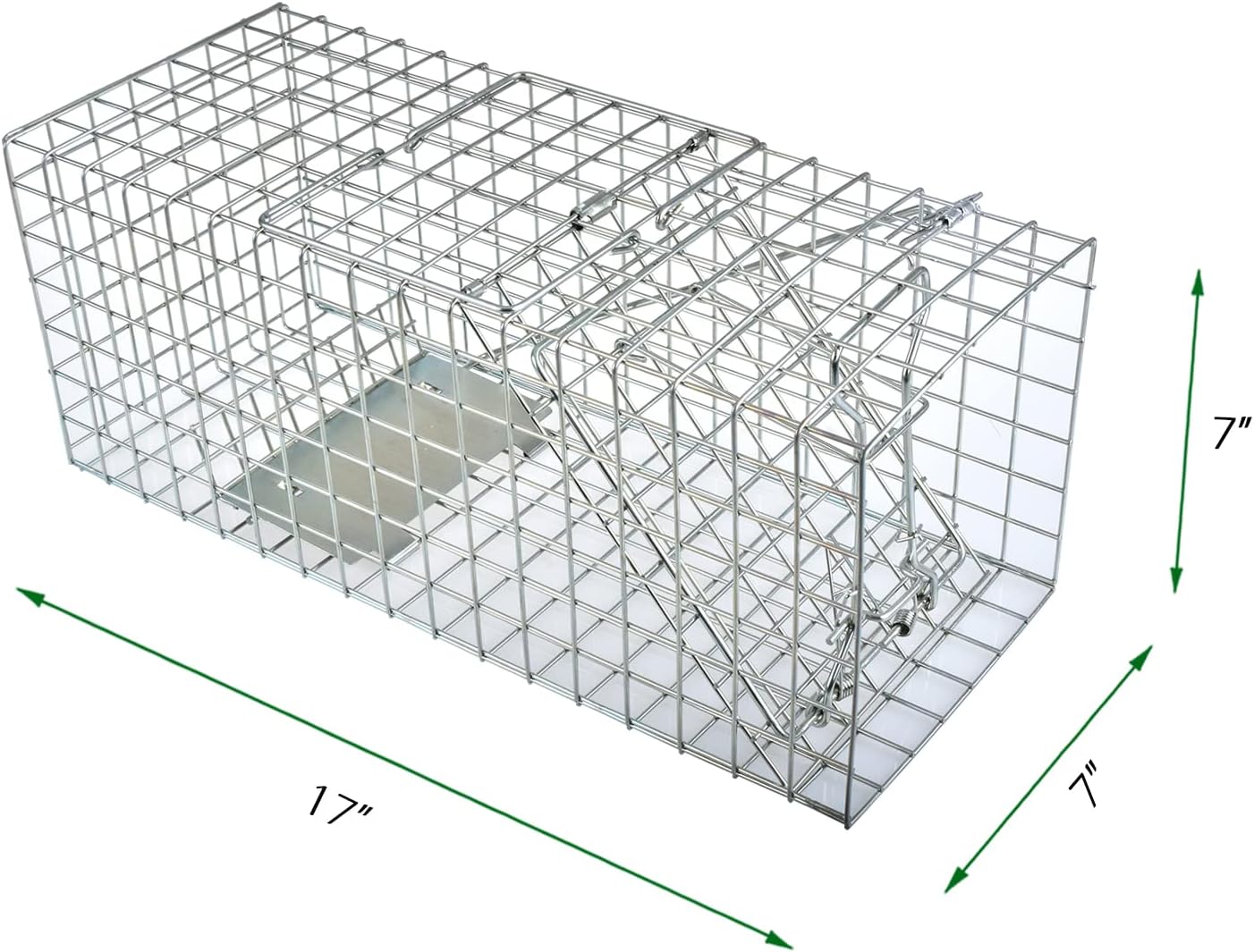 Trampa de jaula de animales vivos para ardillas, comadrejas y roedores de tamaño similar