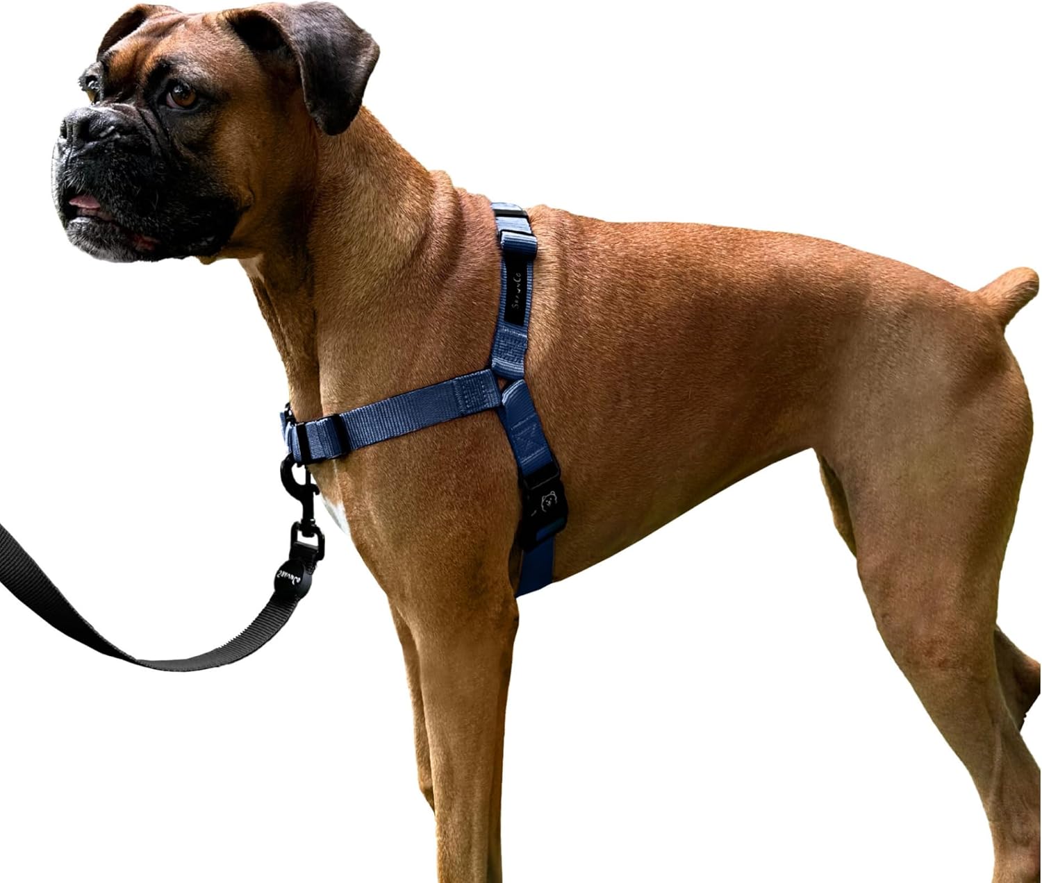 ShawnCo Dream Walk – Arnés para perro sin tirones, ajustable, cómodo, fácil de usar, para ayudar a dejar de tirar, para perros pequeños, medianos y